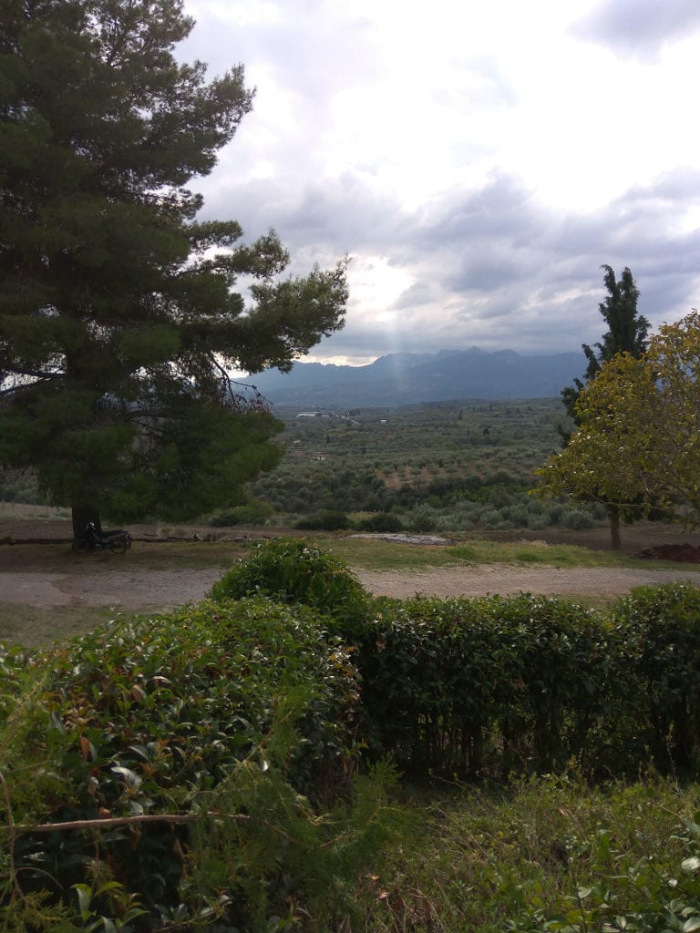 trees in nature and blue sky at Bio Goupios